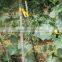 olive net & fruit nets, plastic orange safety net, climbing plant support net