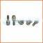 Customized wholesale quality galvanized wheel bolt