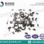 Large Stock Hot Sales Tungsten Carbide Tire Studs Pin