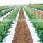 Multipurpose hot sell nursery stake