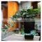 greensun new products garden gadget