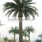 hot sale artificial date palm tree fiberglass palm tree sale fake tree