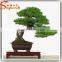 distinctive designs a wide variety of artifical life size artificial decorative plants and trees