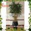 Realistic mini bonsai tree pot culture wholesale