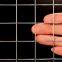 SUS304/316 Welded Wire Mesh