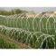 razor wire