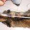 White raccoon fur skin, fur skin for women's clothing, raccoon fur skin for garment