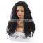 Virgin brazilian human hair kinky curly wig for black women