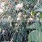 hdpe uv vineyard anti animal bird trapping net