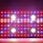 Meizhou suppliers factory price  led plant grow light for indoor garden