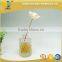 150ml clear glass reed diffuser amora bottle with screw cap