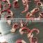 Good quality frozen precooked squid tentacle