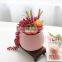 Best Selling Succulent Plants Faux Plastic FakeFlowers Mini Artificial Succulents In Pots