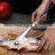 Fish Scaler Brush Fish Scaler Remover with Stainless Steel Sawtooth Easily Remove Fish Scales-Cleaning Brush Scraper