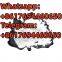 legit manfacturer MITRAGYNINE PICRATE reliable China supplier