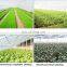 2.5x6m/2.5x10m Plant Crops Protect Mesh Fruit Vegetables Care Cover Insect Net Garden Pest Control Anti-bird Mesh Net