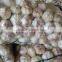 Chinese 2016 new crop fresh garlic