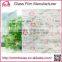 wholesale frosted decorative indoor PVC window film                        
                                                                                Supplier's Choice