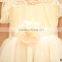 wholesale Latest Fashion Design Children Cloth 2016 Summer Baby Girl Design Dress Casual Wearing Lace Mesh Dress