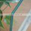 Customized building laminated glass with pvb film