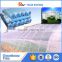 PE protective agricultural plastic film for greenhouse
