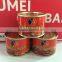 wholesale tinned tomato paste 70gram