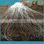 Multi Strands Lighting PMMA Sparkle Optical Fiber With Transparent PVC Jacket