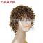 Ceres Hair Heat Resistant Short Afro Kinky Curly Wig for Black Women