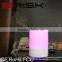 300ML Aroma Atomizer Air Humidifier LED Ultrasonic Purifier Diffuser
