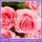 hand touch pink artificial rose flower