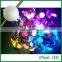 ws2801 30mm pixel led 20pcs/string waterproof outdoor lighting