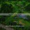 Golf Course Miniature Architectural Model