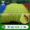 chinese decoration of artificial grass protection nature