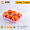 High quality fruit clamshell packaging tray for 6 pcs peach