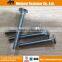 Supply standard DIN603 good fastener round head square neck carriage bolt