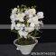 Decorative Artificial Flower Dendrobium Orchids