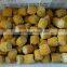 NON-GMO frozen sweet corn cut IQF Sweet Corn