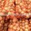 Red Onion Yellow Onion 7-9cm Wholesales Price
