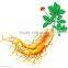 High Quality GMP&KOF-Kosher Ginseng Root Extract Ginsenoside