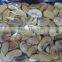 wholesale whole paddy champignons agaricus bisporus in pouches mushrooms