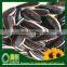 Wholesale chinese Sunflower Seeds american type 5009