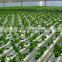 Most Popular Hydroponic NFT Channel pvc pipes