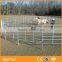 Galvanized PVC Coated Horse Rail Fence