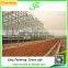 Modern agricultural equipments glass commercial greenhouses
