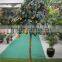 Artificial Bonsai Trees Artificial Orange Tree With Fruit Real Trunk Artificial Tree