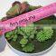 brand name plastic small multicapacity process artificial round plate bonsai decor