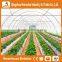 Heracles trade saaurance good quality greenhouse material-200 micron greenhouse film greenhouse for sale