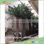 Wholesale artificial date palm tree customized fiberglass artificial date palm tree artificial outdoor palm tree