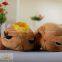 Animals Tortoise Soft Floor Stuffed Cushion Children Toys Gifts