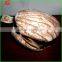 Preschool Teachers Clam Scallop Plush Finger Hand Puppet